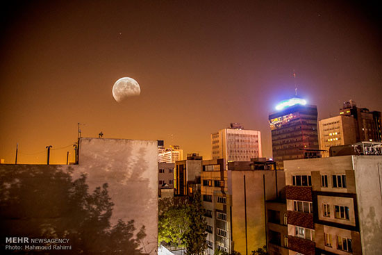 1350263_685.jpg