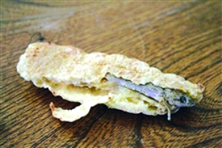 d81d3a38db.jpg