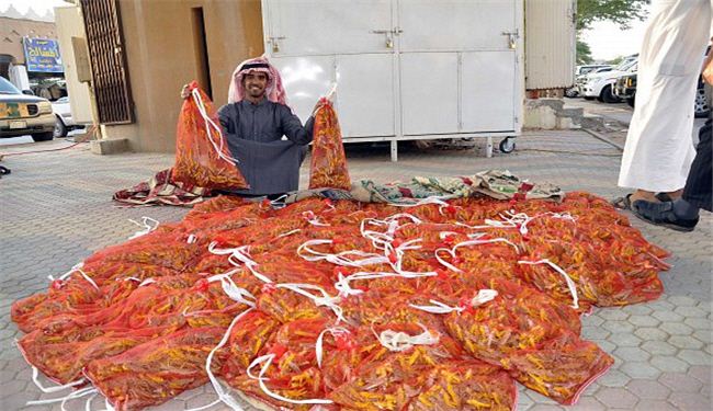 alalam-634908623602832829.jpg