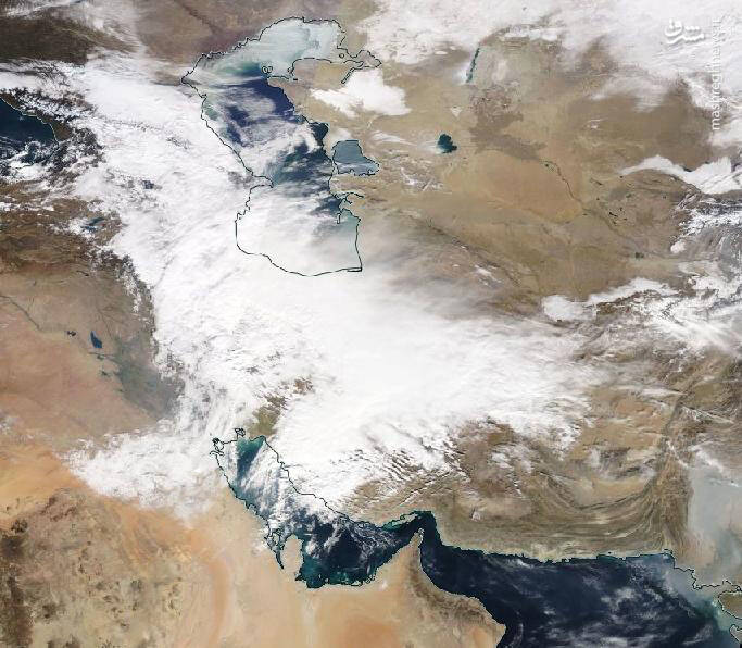 2999143.jpg