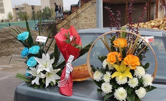 221259_324.jpg