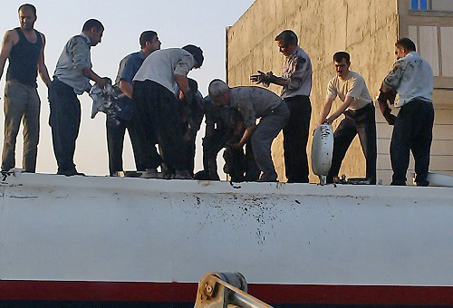 73805_859.jpg