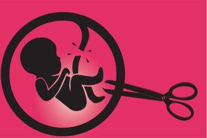 عکس خبري -شکايت از همسر به خاطر سقط جنين