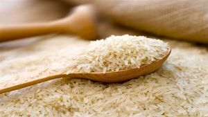 عکس خبري -مصرف ماهيانه ??? هزار تن برنج خارجي در کشور