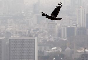 عکس خبري -شاخص امروز آلودگي هوا در تهران