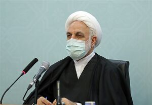 عکس خبري -محسنياژهاي: به مشکلات قضايي واقفم/ پرهيز قوه قضائيه از جرمانگاري جديد/ از ميزان ? هزار عنوان مجرمانه کاسته ميشود