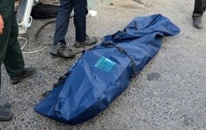 عکس خبري -کشف هفته‌اي يک تا ? جسد در زباله‌هاي جنوب تهران
