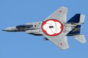 عکس خبري -جنگنده ژاپني از صفحه رادار محو شد