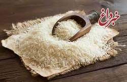 دليل اصلي احتکار برنج مشخص شد