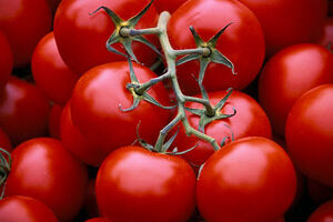 عکس خبري -خواص درماني گوجه فرنگي