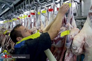 عکس خبري -تنظيم بازار گوشت قرمز با عرضه ذخاير موجود/ افزايش تقاضا عامل رشد قيمت گوشت قرمز در آستانه نوروز است