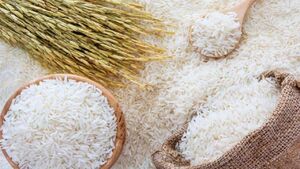 عکس خبري -قيمت برنج در ماه رمضان تغيير نمي کند