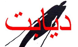 عکس خبري - روشهاي مراقبت از پا در بيماران ديابتي