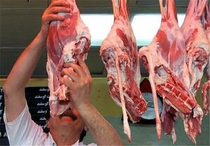 عکس خبري -قيمت گوشت گوسفندي و گوساله اعلام شد