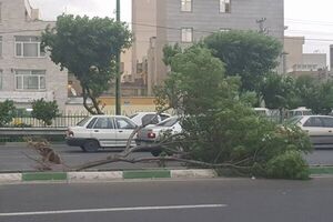 عکس خبري -وزش باد خيلي شديد در تهران/خيزش گرد و خاک و کاهش کيفيت هوا