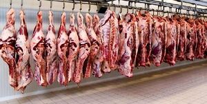 عکس خبري -توزيع مستقيم گوشت قرمز در تهران براي کاهش قيمت‌ها