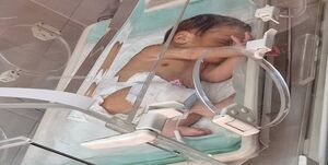 عکس خبري -دادستان تهران دستور مراقبت ويژه از نوزاد رها شده را صادر کرد