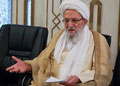 عکس خبري -آيت الله مهدوي کني:اختلافي که منجر به ائتلاف شود موجب تکامل است