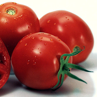 عکس خبري -خوردن گوجه فرنگي حرام است!