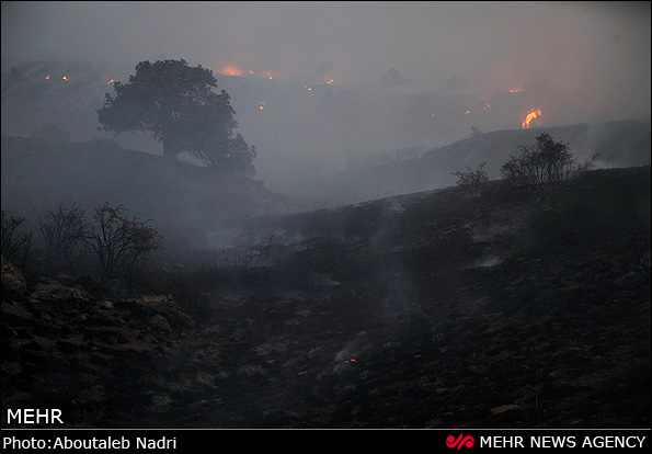 عکس خبري -چهارشنبه جهنمي پارک ملي گلستان