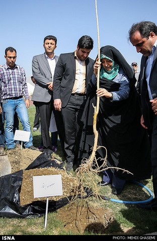 عکس خبري -گزارش تصويري/ هنرمنداني که درخت کاشتند