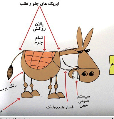 عکس خبري -کاريکاتور/واردات الاغ آراد شد!