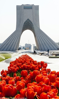 عکس خبري -گزارش تصويري/هواي پاک و لاله ها در تهران 
