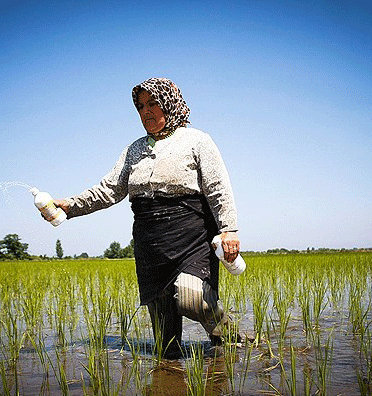 عکس خبري -گزارش تصويري/حوا مادر بزرگ فداکار روستاي زاغده