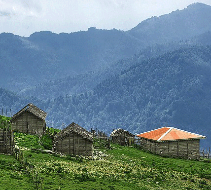 عکس خبري -گزارش تصويري/طبيعت بهاري ماسال