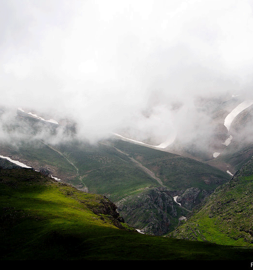 عکس خبري -گزارش تصويري/طبيعت جواهر دشت گيلان 