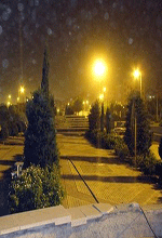 عکس خبري -گزارش تصويري/هواي ناسالم تهران در شب گذشته 