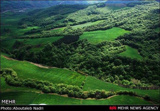 عکس خبري -ساخت برکه هاي مصنوعي براي نجات حيات وحش