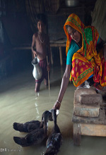 عکس خبري -گزارش تصويري/خسارات سيل در بنگلادش