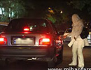 عکس خبري -درخواست جمع‌ آوري زنان تن فروش تهراني