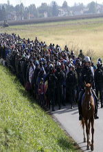 عکس خبري -گزارش تصويري/عبور مهاجران از اسلووني 