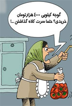 عکس خبري -کاريکاتور/گراني يا ...