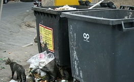 عکس خبري -مصيبت سطل‌هاي زباله متعفن، بدبو، کثيف و زشت در تهران