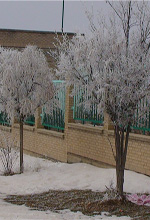 عکس خبري -گزارش تصويري/رخ نمايي زمستان در پاييز خلخال 