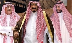 عکس خبري -اهداف آل سعود از اعدام شيخ نمر