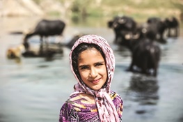 عکس خبري -زندگي در کوچههاي گاوميشآباد