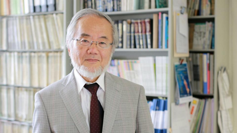 عکس خبري -نوبل پزشکي 2016 به يک ژاپني رسيد