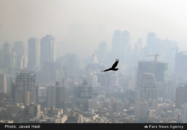 عکس خبري -دولت در معضل آلودگي هوا، تنها يک نظاره گر است 