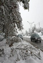 عکس خبري -گزارش تصويري/بارش برف سنگين در مازندران
