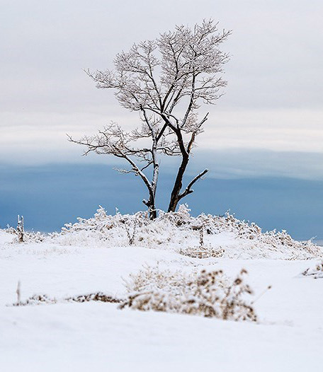 عکس خبري -تصاوير/ طبيعت زمستاني اروميه