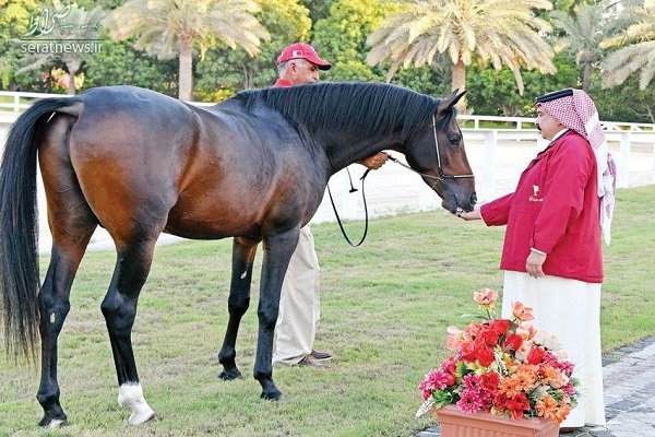 عکس خبري -هديه ملکه انگليس به پادشاه بحرين +عکس