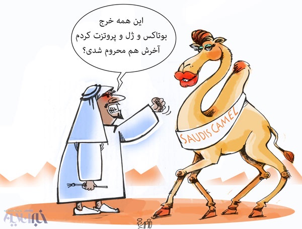 عکس خبري -سرگرمي جديد خرپول‌ها!