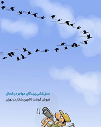 عکس خبري - غذاي‌لاکچري با گوشت پرندگان‌ مهاجر!