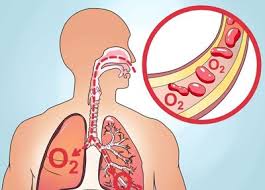 عکس خبري -نشانه هاي کمبود اکسيژن درخون چيست؟