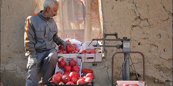 عکس خبري -انار ترك‌خورده‌ي دل‌رباي عيان را نمي‌برند