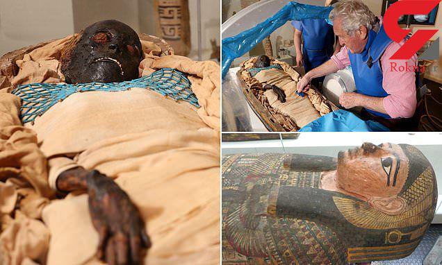 عکس خبري -دانشمندان اسرار قتل موميايي 2600 ساله کشف کردند!